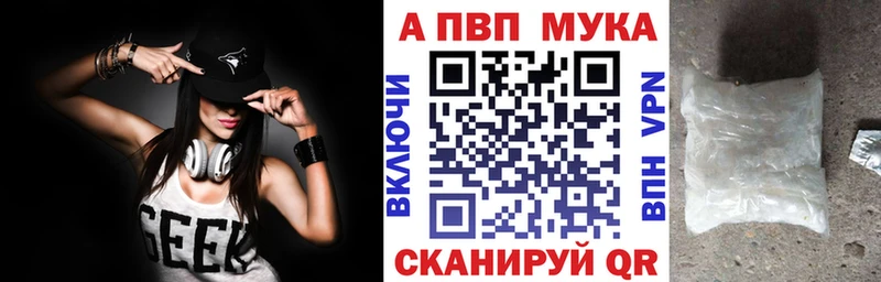 Альфа ПВП СК КРИС  Гвардейск 