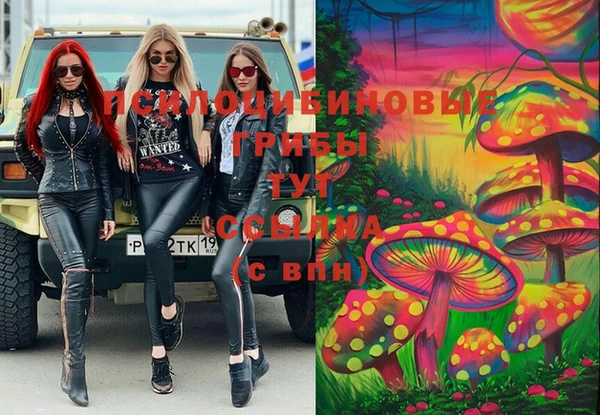 прущий лед Алексин