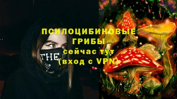 прущий лед Алексин